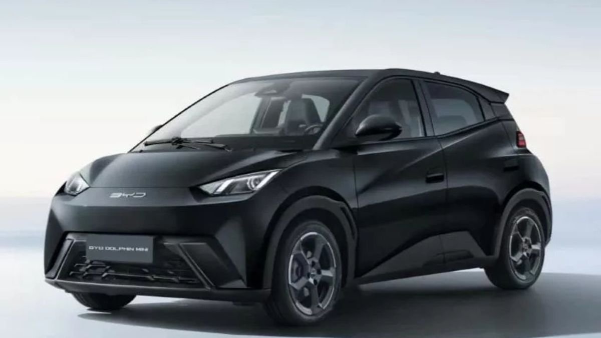 carros elétricos mais baratos dolphin mini