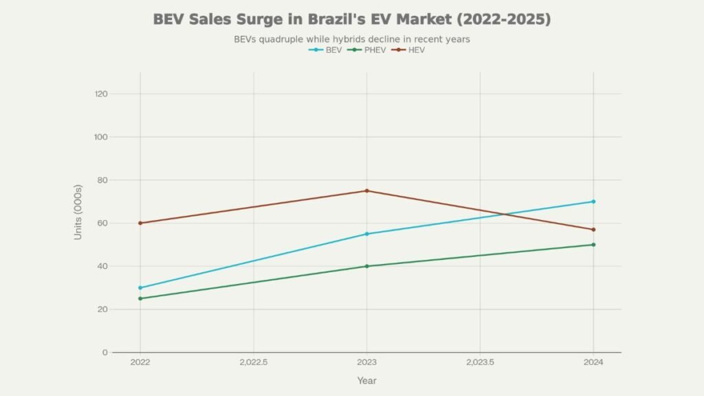 eletrificados grafico
